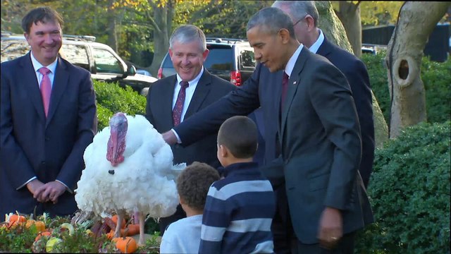 President Obama pardons his final Thanksgiving turkey