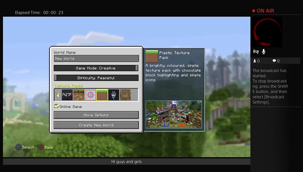 Mincraft tutorial (11)