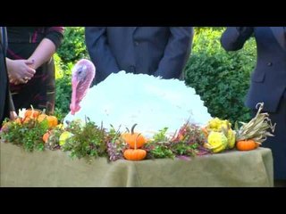 Festa e fundit e Falënderimeve - Top Channel Albania - News - Lajme