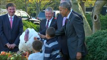 Obama indulta a un pavo en su último Día de Acción de Gracias