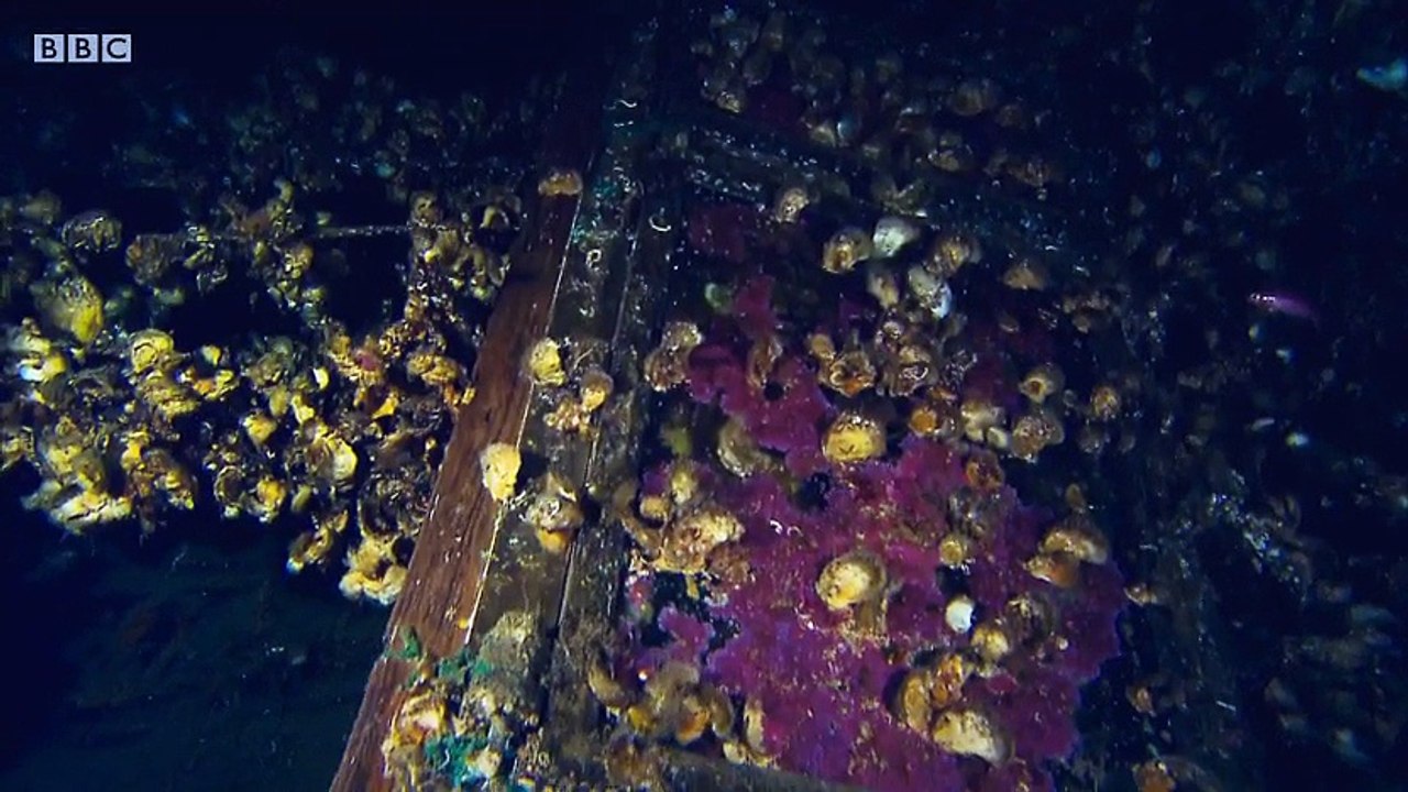 Titanics Tragic Twin The Britannic Disaster