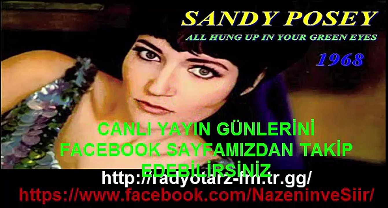 SANDY POSEY - ALL HUNG UP IN YOUR GREEN EYES 1968