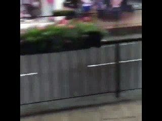 Dizel araba suda gider mi !