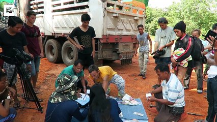 Elephants Released After 80 Years