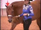 2007 AQHA BAYER SELECT WORLD CHAMPIONSHIP - 3-YEAR-OLD MARES