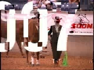 2007 AQHA BAYER SELECT WORLD CHAMPIONSHIP - 2-YEAR-OLD MARES