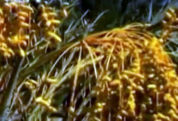 Khudaya Mare Sare Gham by Amanat Saaz And Farah Rustam