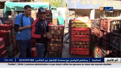 مجتمع  عربات الحمير..مصدر رزق الشباب في الأسواق