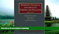 READ BOOK  Domestic Violence and the Law (University Casebook Series)  GET PDF