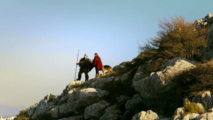 Emerald City Season 1 Trailer [HD] Gerran Howell, Adria Arjona, Vincent D'Onofri_HD