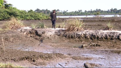 Nigerians seek oil spill compensation from Shell