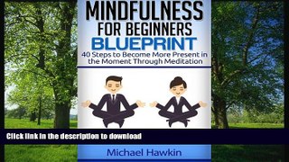 READ BOOK  Mindfulness for Beginners Blueprint: 40 Steps to Become More Present in the Moment