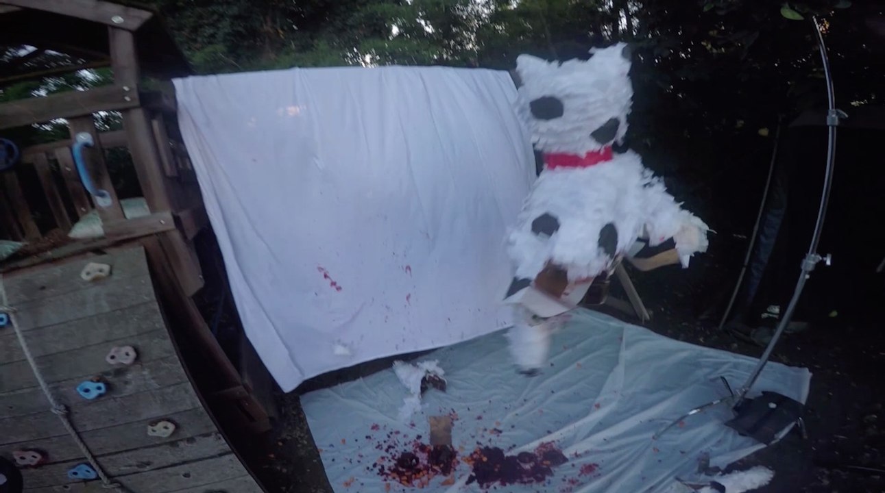 Guy Fills Pinata With Cranberry Sauce & Candied Yams. Because? America.