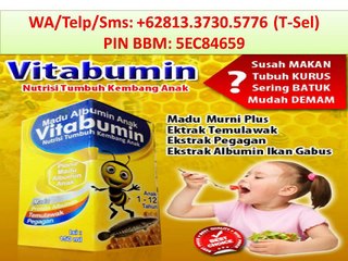 +62813.3730.5776 (T-Sel) Vitabumin Asli