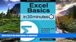 FAVORITE BOOK  Excel Basics In 30 Minutes (2nd Edition): The quick guide to Microsoft Excel and