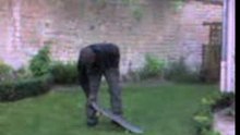 skate