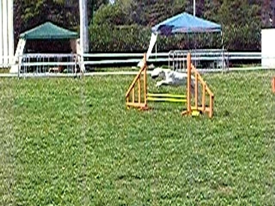 P8261417