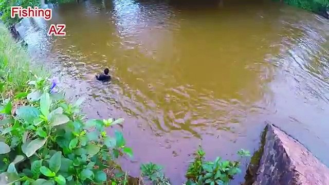 Khmer Fishermen Team Cast Net Fishing Cambodia Fish in Siem Reap River #9 - How To Throw a Cast Net
