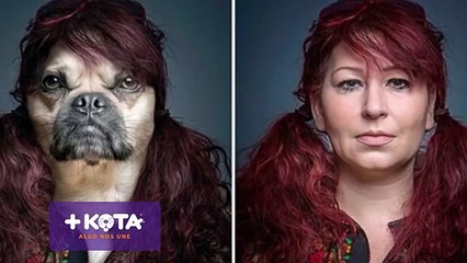 +KOTA- Día mundial de los animales