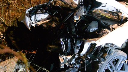 Romedenne : un sanglier puis un arbre