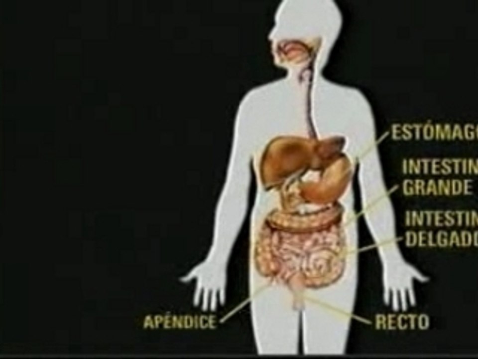 Video colon
