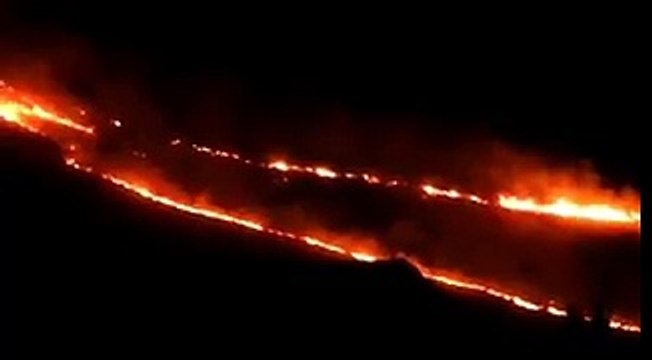 Израиль. Пожар около деревни Нахф вблизи Кармиэль