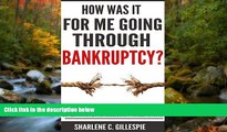 EBOOK ONLINE  How Was It For Me Going Through Bankruptcy?: The Pros And Cons Of Filing Bankruptcy