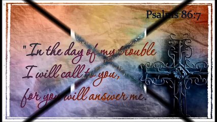 Megnificent Design - (614) 519-5230