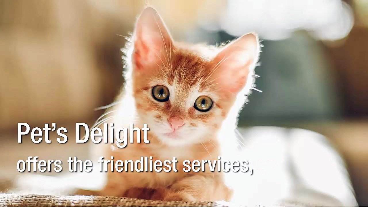 Why Opt For Vet Recommended Pet Products Today