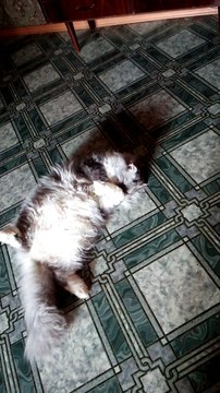 Кузьма, Ах какой красивый.