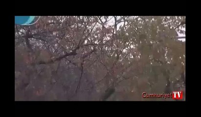 Tokyo'ya 54 yıl sonra ilk kez kar yağdı