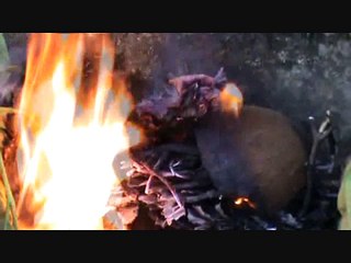 Crackpot Roman Emperors (part 2)