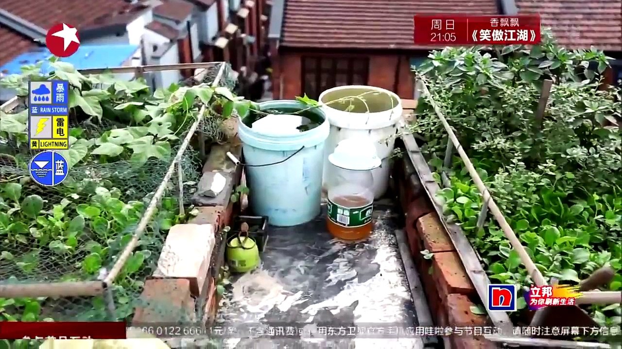 《梦想改造家》第二季 第11期：女儿出嫁后不规则老房子拆梁改造 新开老虎天窗旧楼梯拆除重建