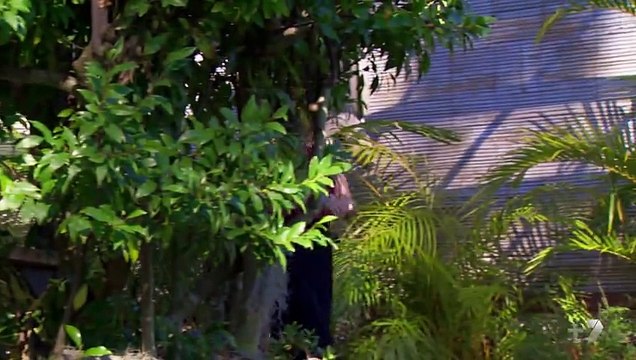 Home and Away 6560 24th November 2016