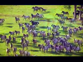 Nostaljik itakyanca şarkilar