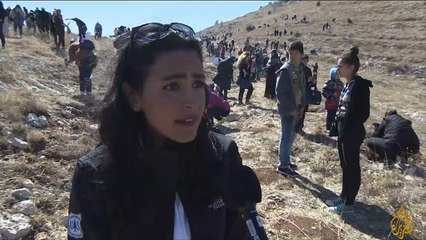 هذا الصباح-مشروع زرع خمسة آلاف شجرة أرز