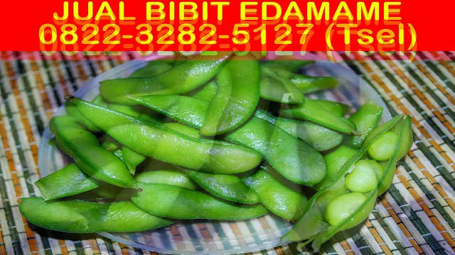 0822-3282-5127 (Tsel), Beli Benih Edamame
