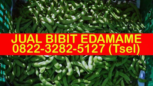 0822-3282-5127 (Tsel), Penjual Benih Edamame