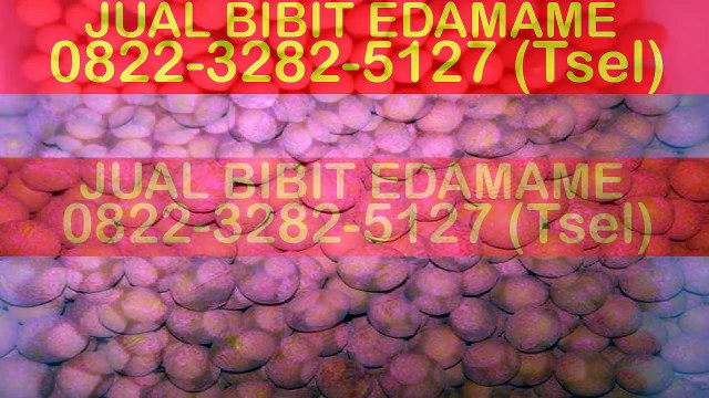 0822-3282-5127 (Tsel), Toko Benih Edamame