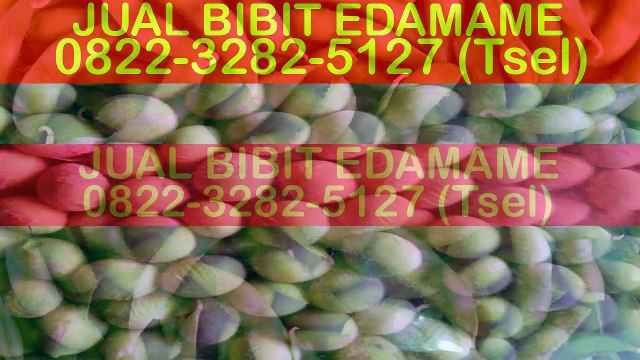 0822-3282-5127 (Tsel), Harga Benih Kedelai Edamame