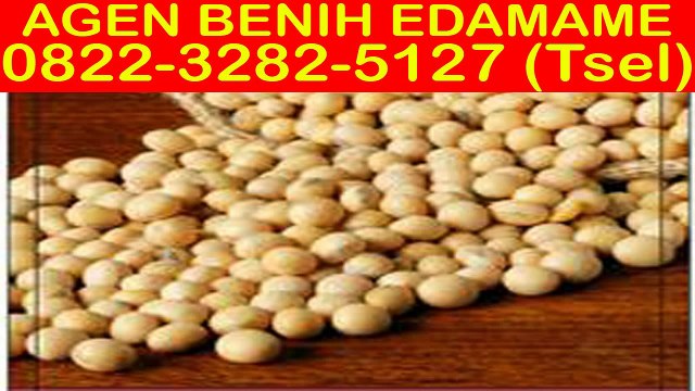 0822-3282-5127 (Tsel), Agen Bibit Edamame