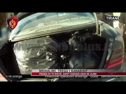 Operacioni anti-kanabis, sekuestrohen 113 kg në Tiranë e Vlorë - News, Lajme - Vizion Plus