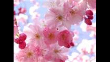 Original Raaten Theen Chandni - Rafiq Ghaznavi & Ameer Bai - MD Khan Mastana - Meray Sajan 1941