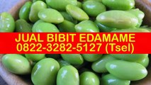 0822-3282-5127 (Tsel), Benih Edamame Malaysia