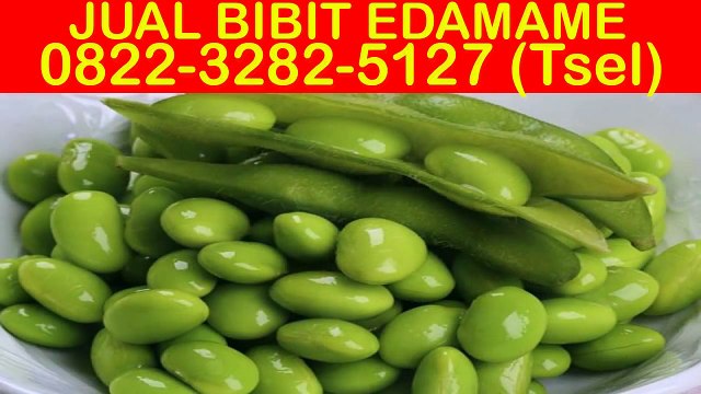 0822-3282-5127 (Tsel), Jual Benih Edamame Jember