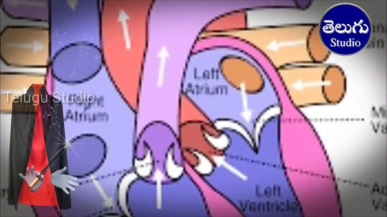 బ్రతీకుండాగనే అప్పుడపుడు heart ఆగీపోతుంది ll Sometimes heart beat stopped l Telugu Studio