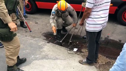 Patrulha Ambiental captura jacaré na zona oeste
