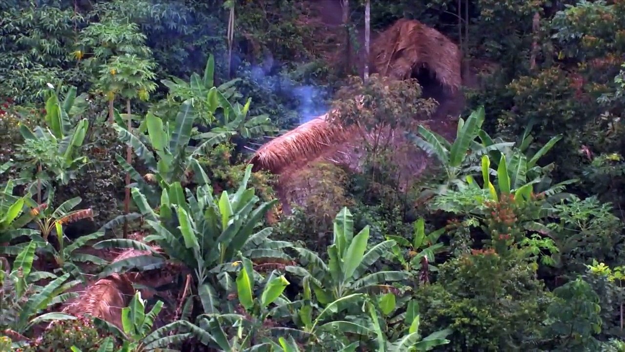 Personne n'imaginait trouver cette tribu au coeur de l'Amazonie