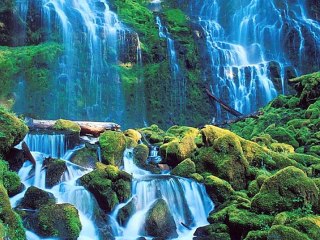 A la Vie - Patrick Giani & Family - album Gratitude