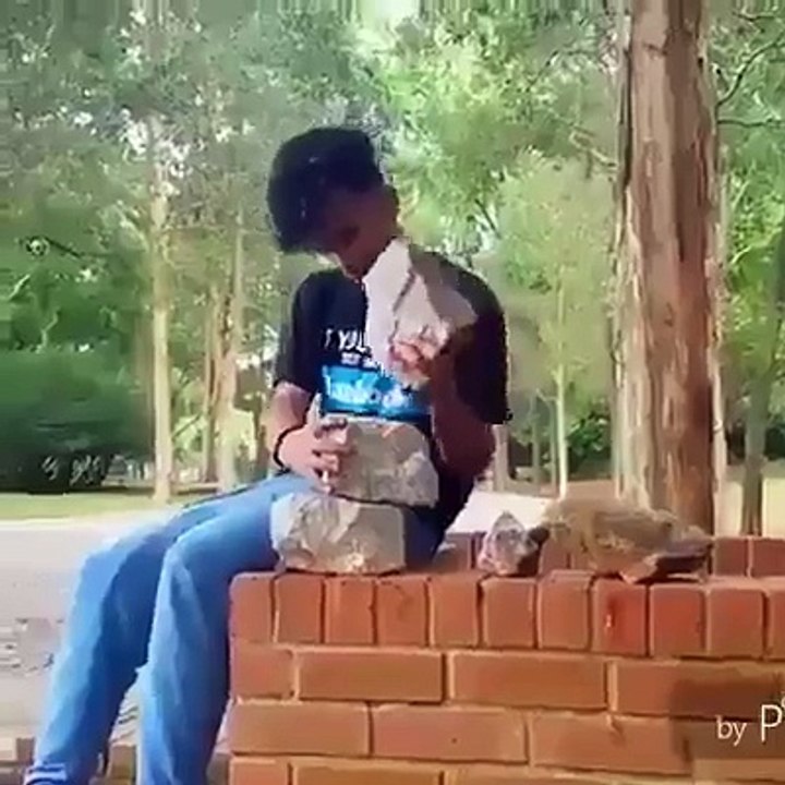 AMAZING MAGIC OR ILLUSION